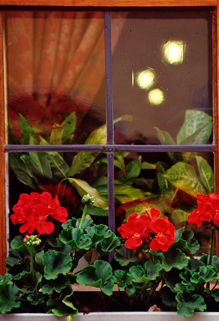 Windowbox