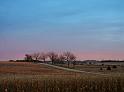 Fall Fields2918