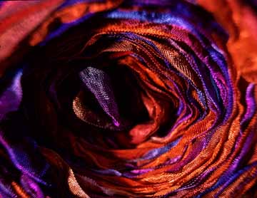 Ribbon Roll