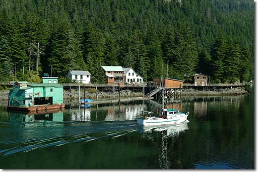 Elfin Cove