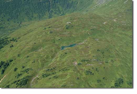 Emerald Mountain Top