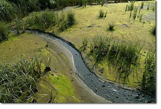 Tidal Stream